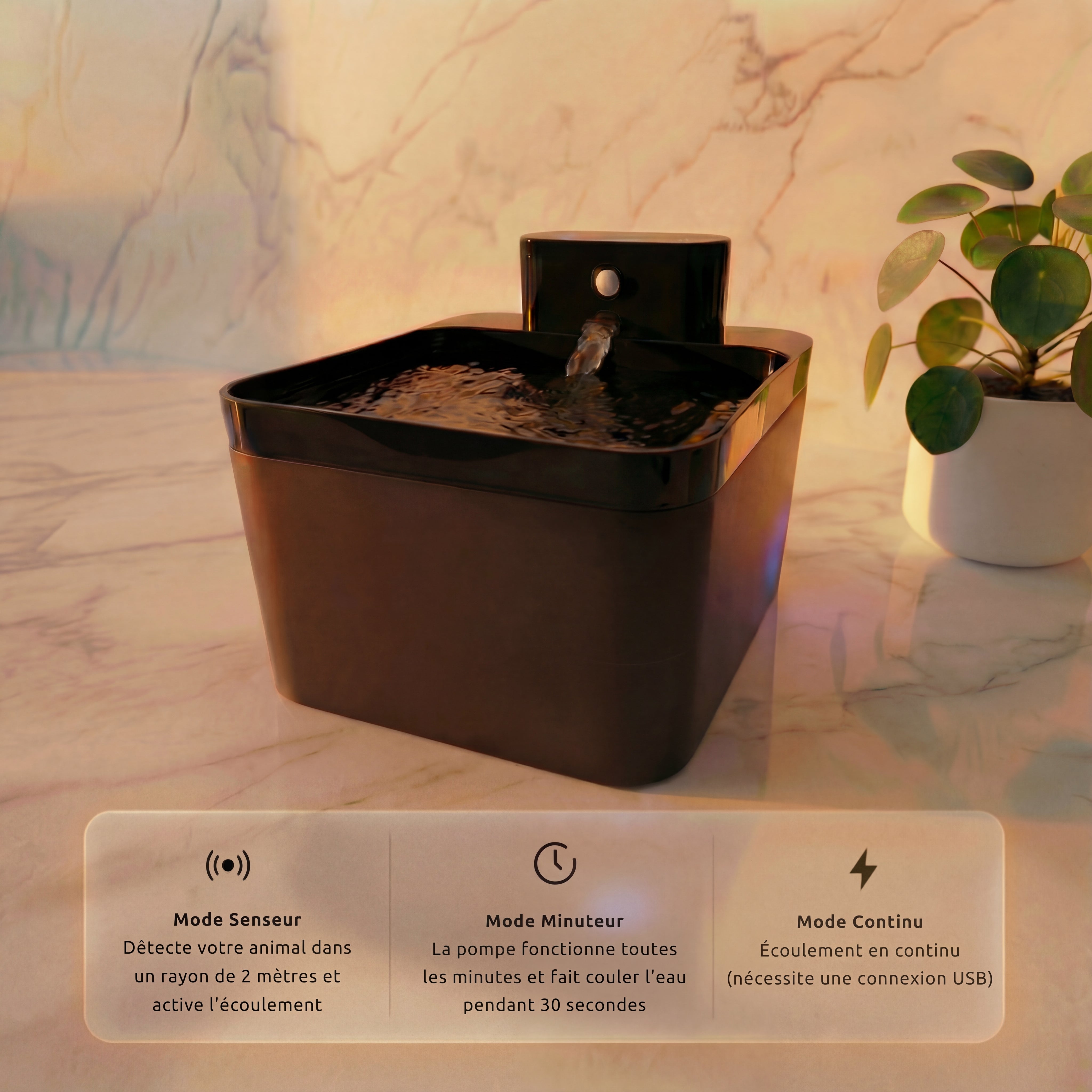 Fontis™ — Fontaine Filtrante Sans Fil pour Chat