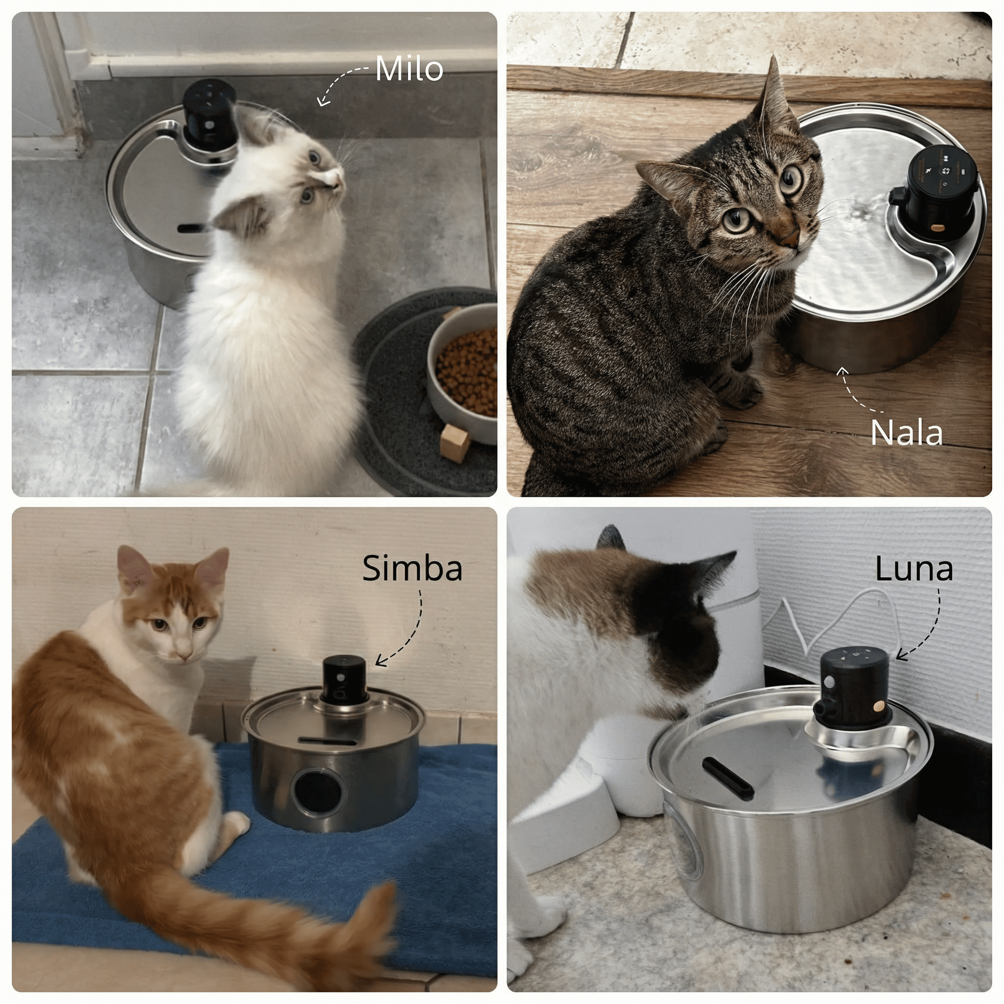 Fontaine en INOX 304